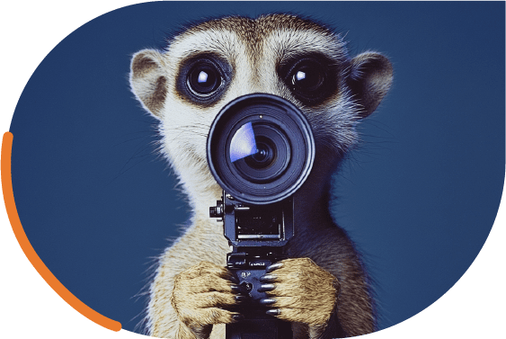 header-videoprotection-2