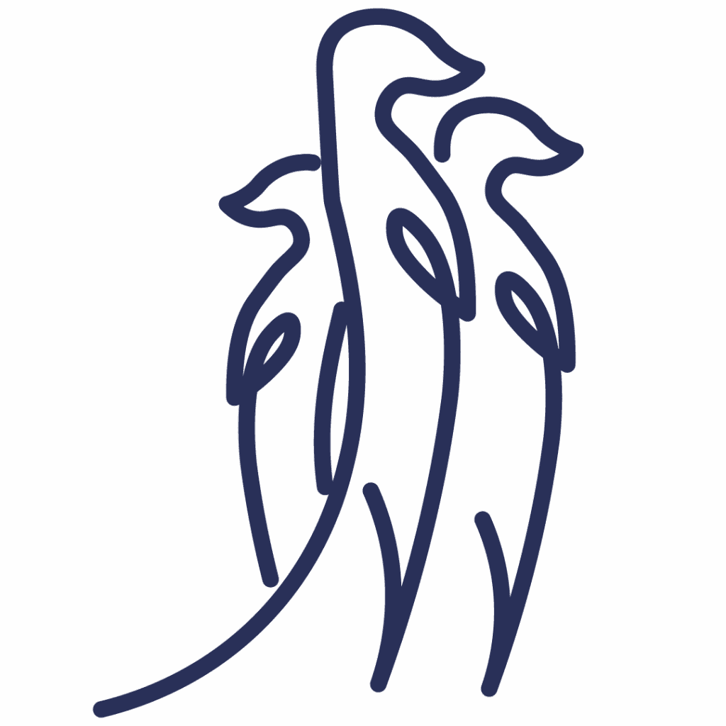 Plan de travail 1 copie 12