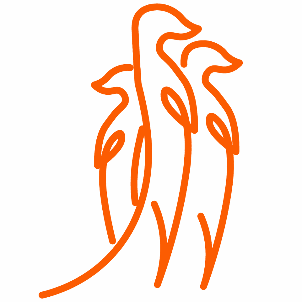 Plan de travail 1 copie 13